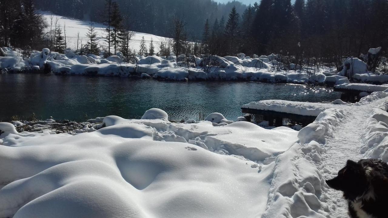 Apartma Kramar Podkoren كْرانْيِسكا غورا المظهر الخارجي الصورة